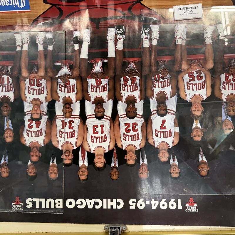 Chicago Bulls Poster 1994 - 1995 - Ph